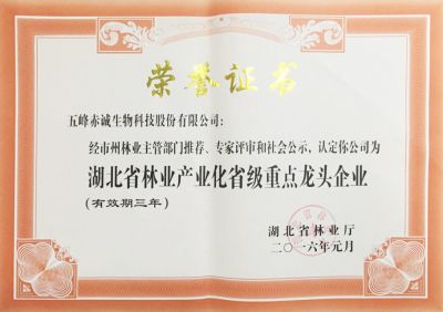 林業(yè)產業(yè)化省級重點化龍頭企業(yè)