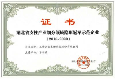 支柱產業(yè)細分領域隱形冠軍示范企業(yè)證書